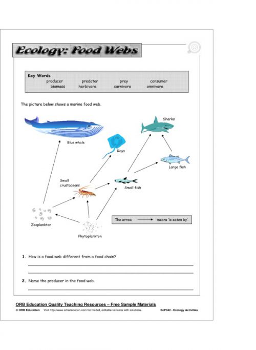 Ecology Activities