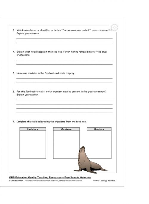 Ecology Activities - Image 2