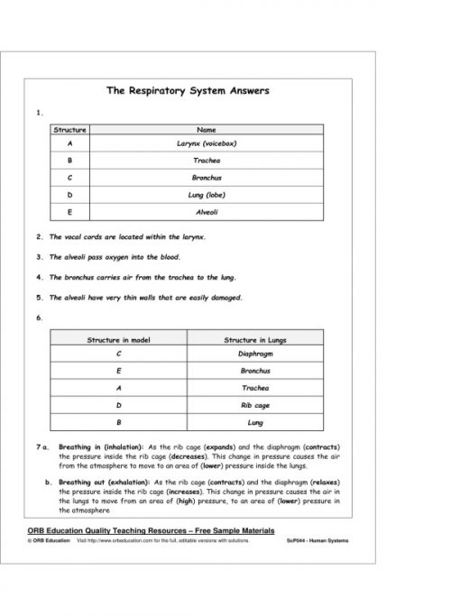 Human Systems - Image 3